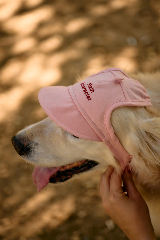 Main Character Dog Hat
