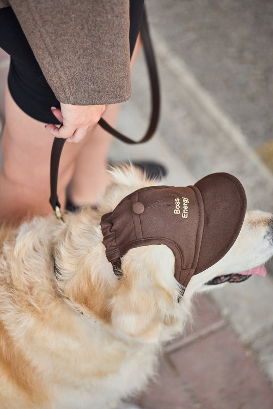 Boss Energy Dog Hat