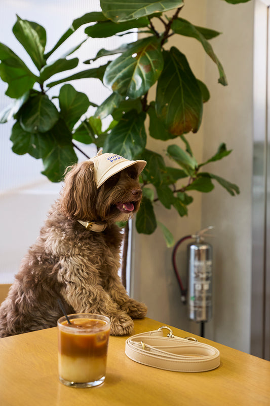Vanilla Latte Collar