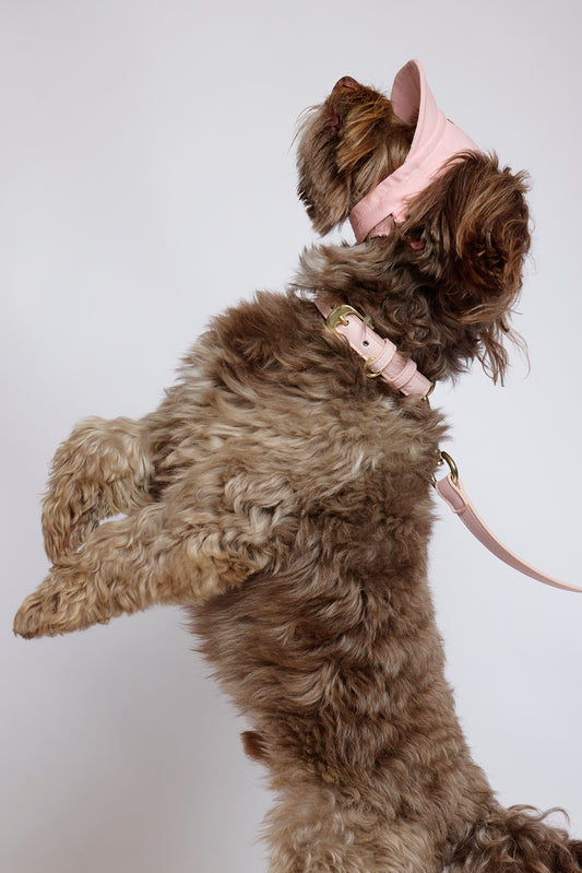 Strawberry Milkshake Collar