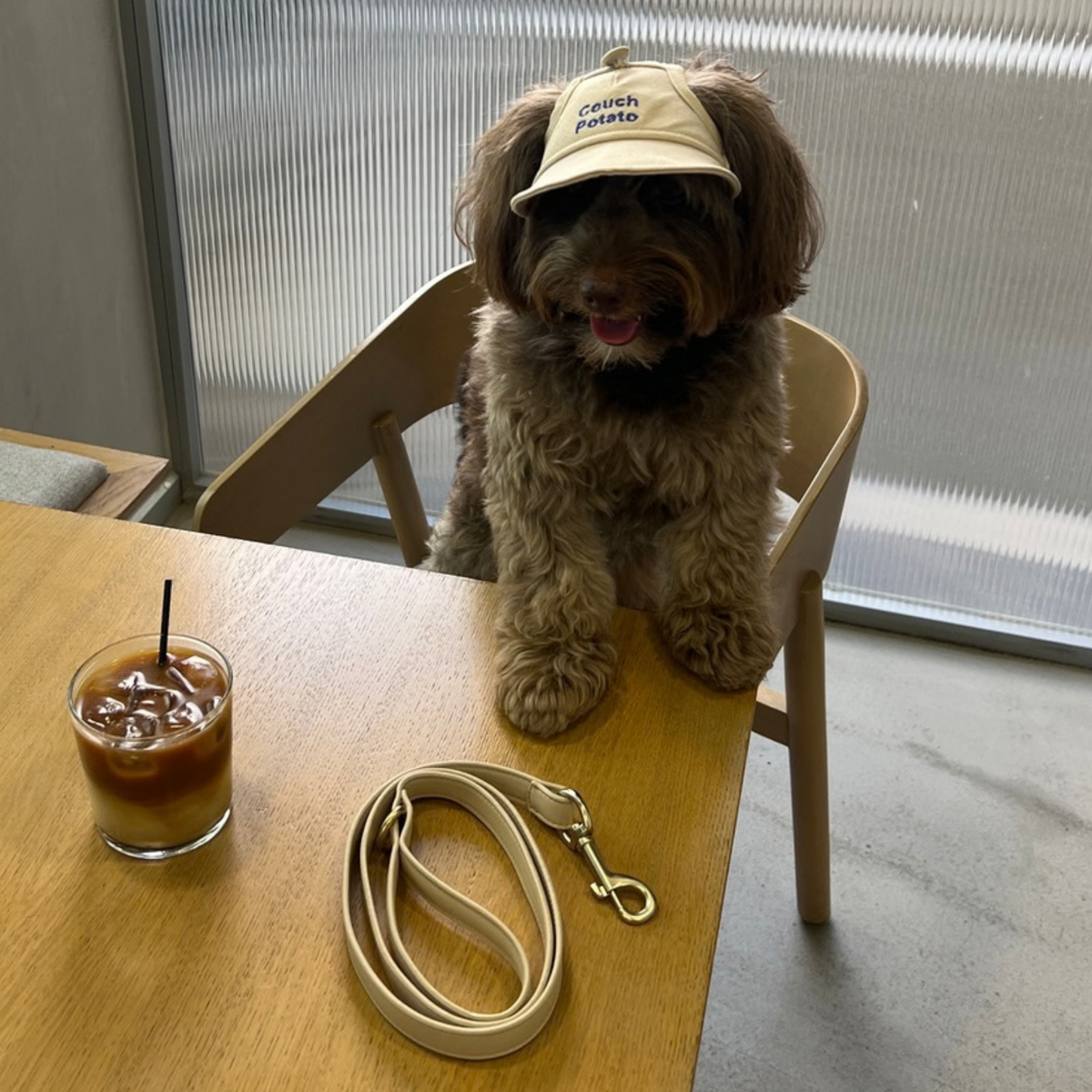 Vanilla Latte Leash
