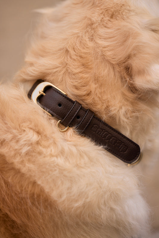 Espresso Collar