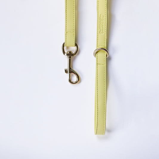 Limoncello Leash