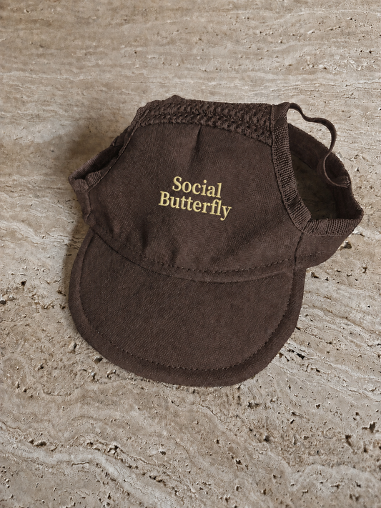 Social Butterfly Köpek Şapkası