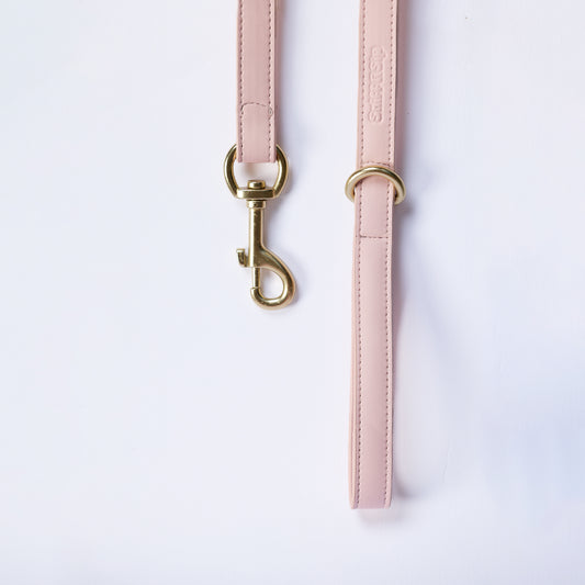 Strawberry Milkshake Leash