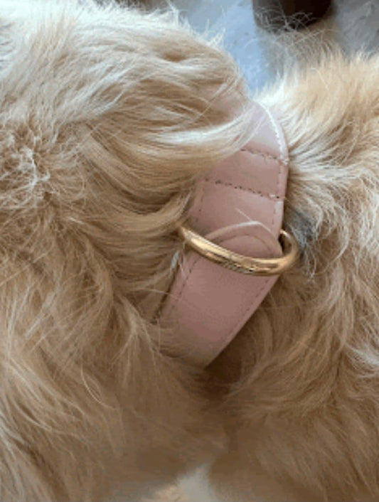 Strawberry Milkshake Collar